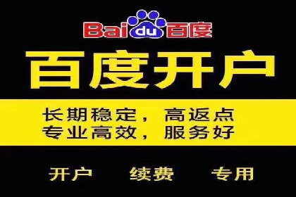 SEM推广在本地化服务中的应用案例